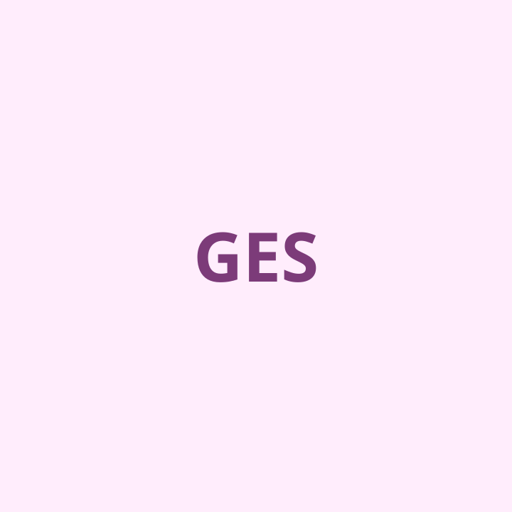Bilan GES