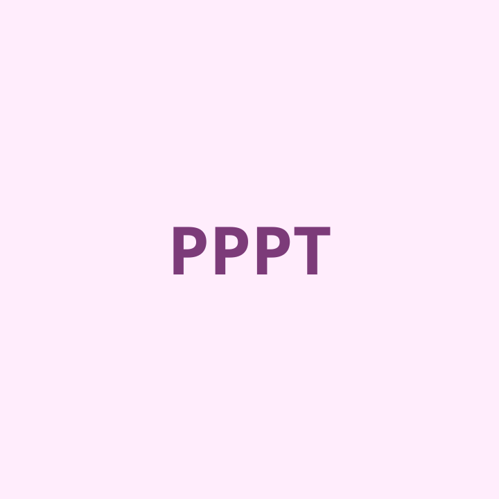 Projet Plan Pluriannuel de Travaux (PPPT)